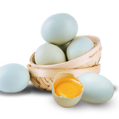 三餐农场散养绿壳土鸡蛋30枚